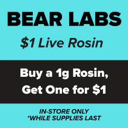 Bear Labs - $1 Live Rosin
