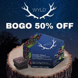 Wyld Friday Buy 1 Get 1 50% OFF (Fridays) 