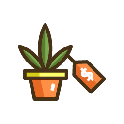 Flower Friday
