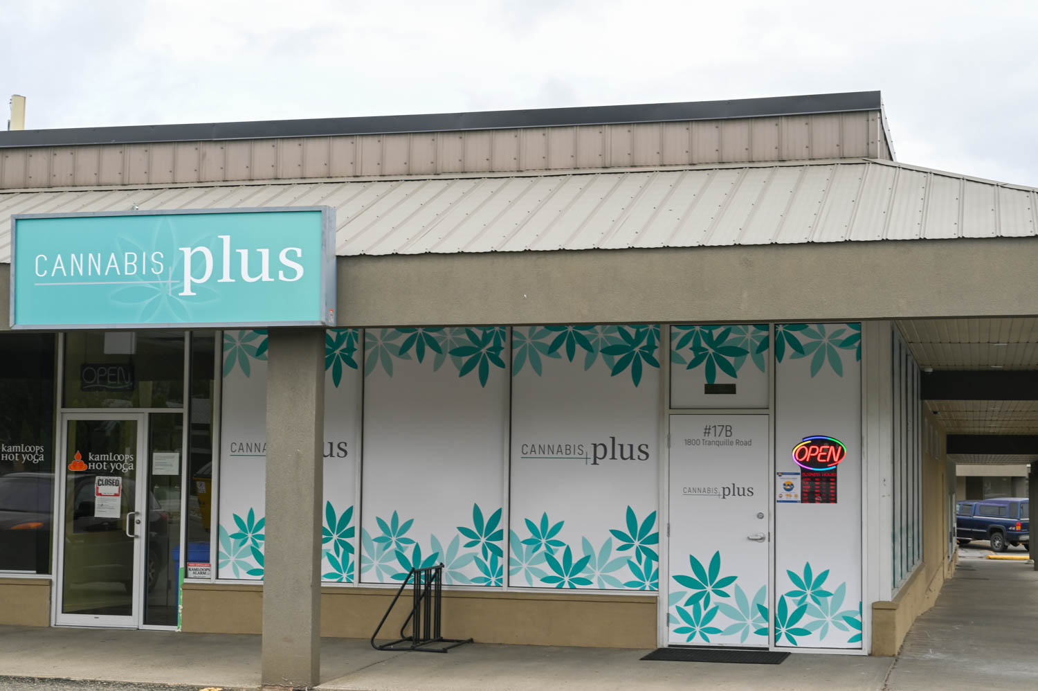 Cannabis Plus logo