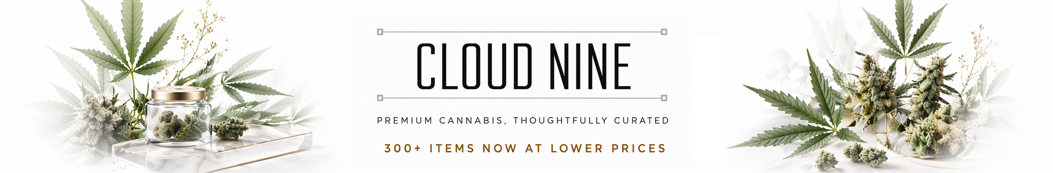 Cloud Nine Logo