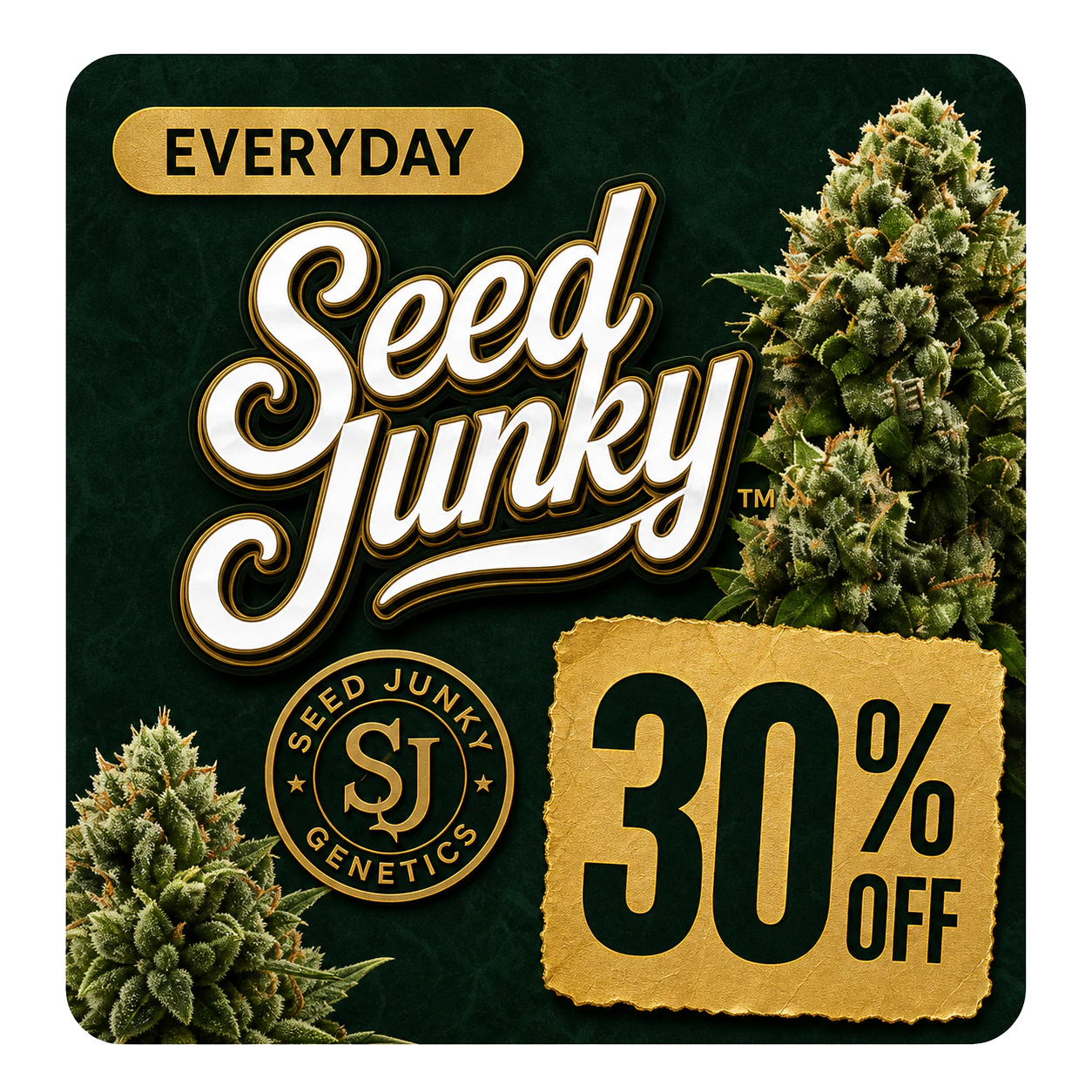 SEED JUNKY 30% OFF EVERYDAY