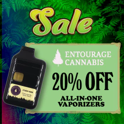 Entourage All-In-Ones - 20% off