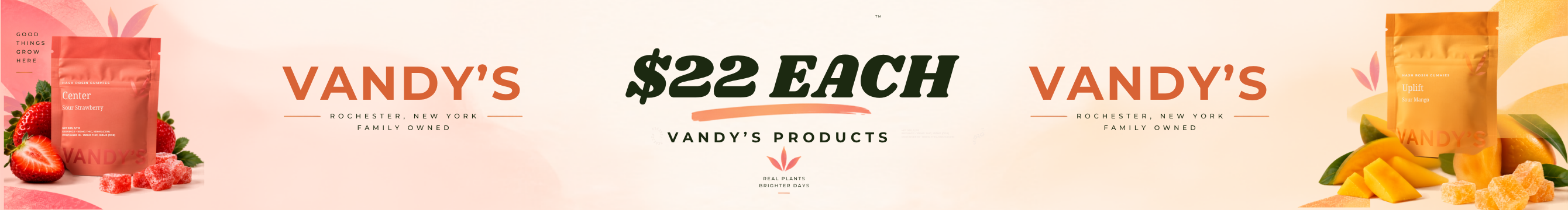 ALL Vandy's Products -- 10% Off!
