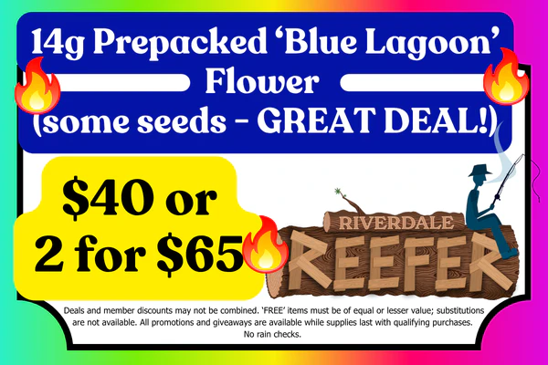 RIVERDALE REEFER 14g "Blue Lagoon" (a few seeds) Flower:  $40 or 2 for $65 (Limited Qty.)