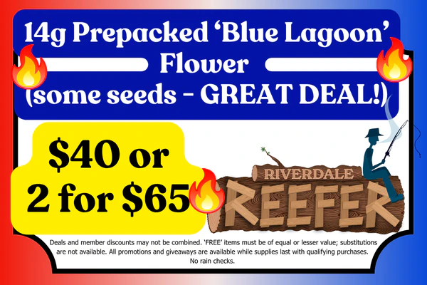 RIVERDALE REEFER 14g "Blue Lagoon" (a few seeds) Flower:  $40 or 2 for $65 (Limited Qty.)