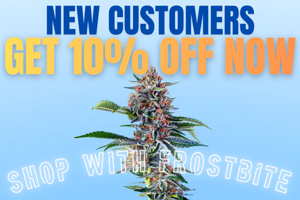 10% Off First Time Customers