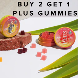 Buy Two Get One Plus Gummies 