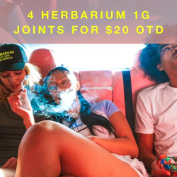 Herbarium Prerolls Specials