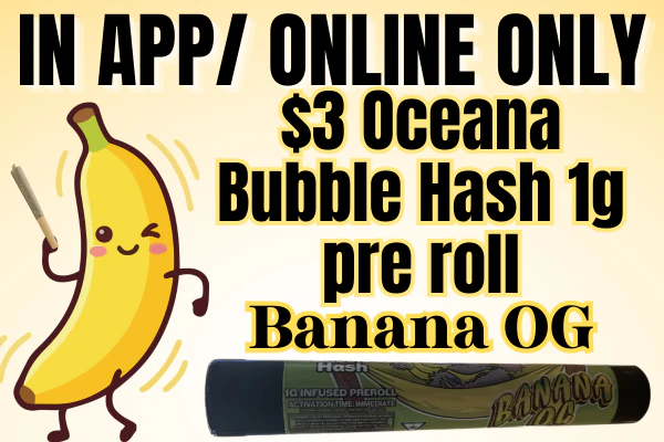 $3 Bubble Hash Preroll 1g