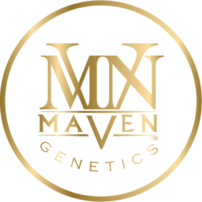 Maven