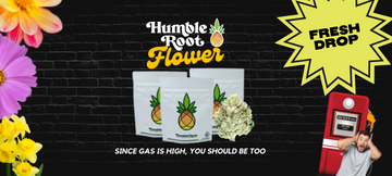 A fresh batch of new flower just dropped from Humble Root!
