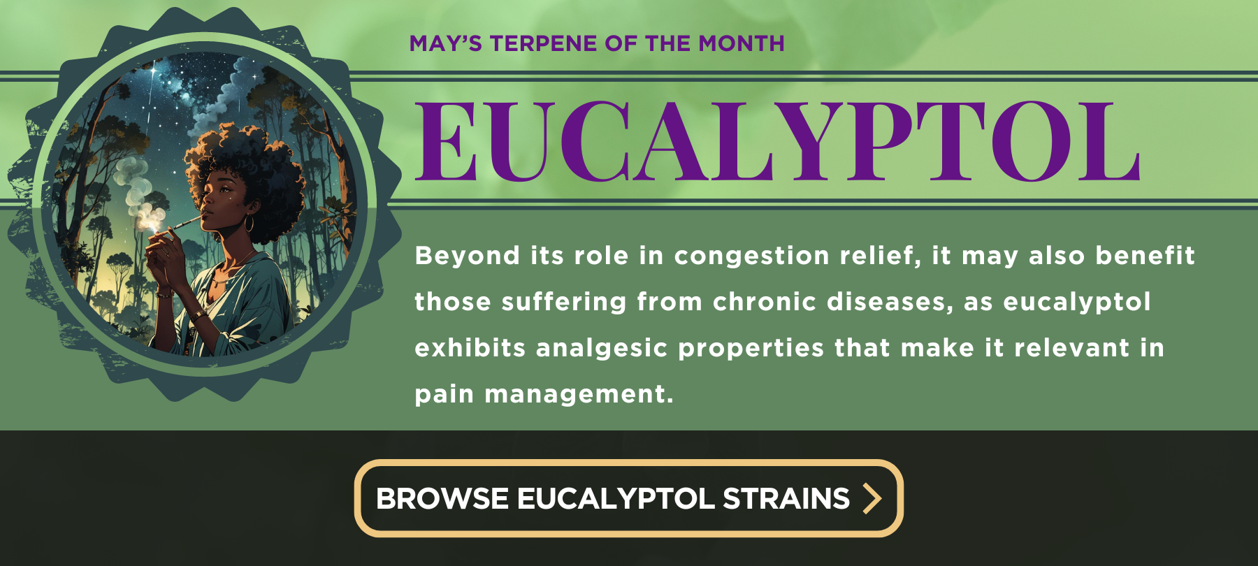 May's Terpene of the Month is Eucalyptol. Tap to browse strains.
