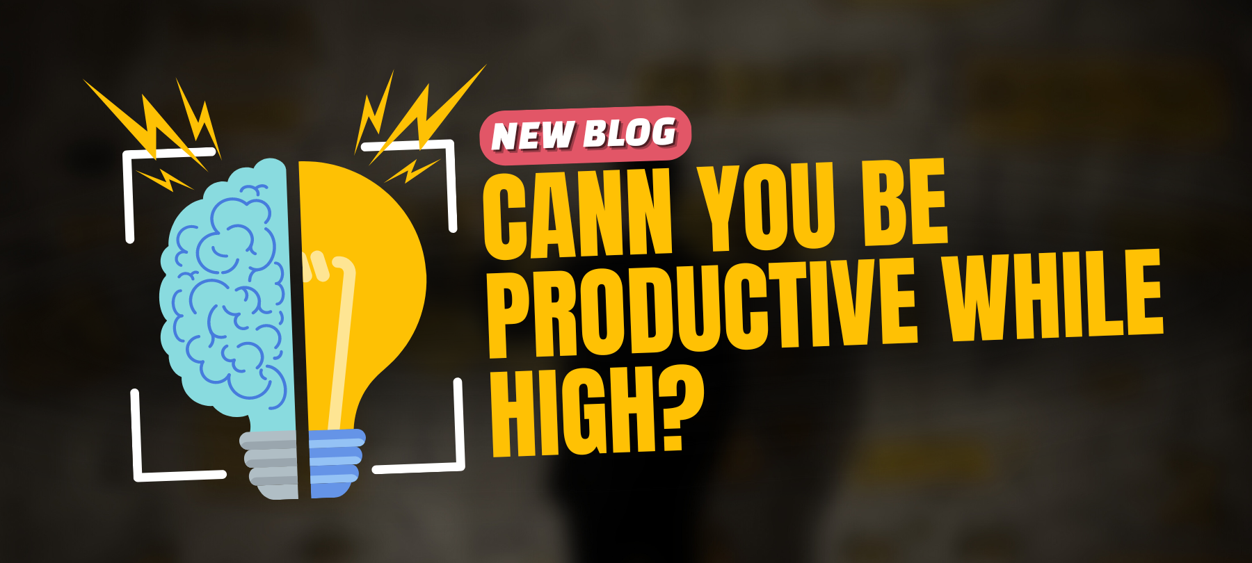 Cann you be productive while high?