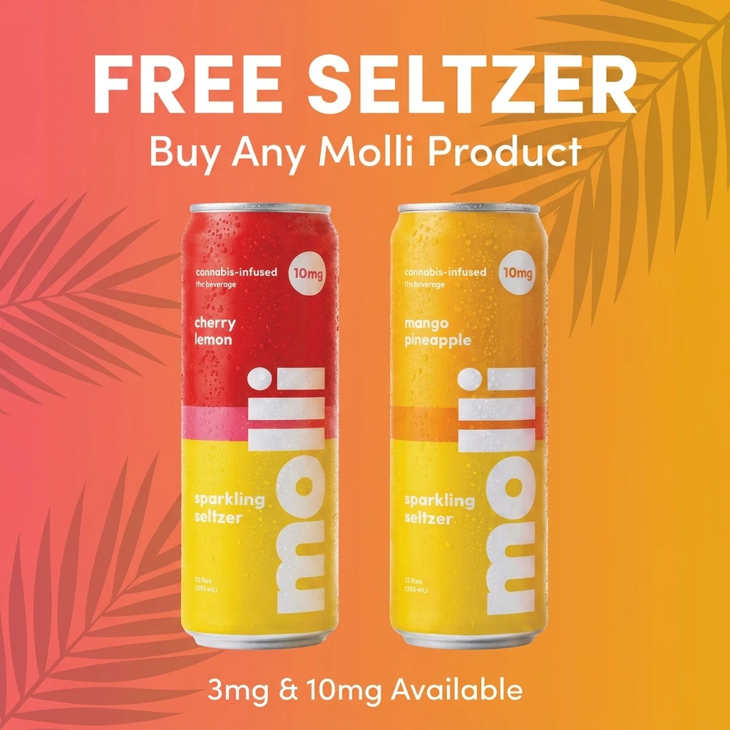 MOLLI - ENDLESS SUMMER