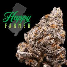 Top Shelf Treat for $30 