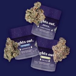 $25 - Lights Out 1g Bundle