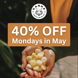 40% OFF Kanha