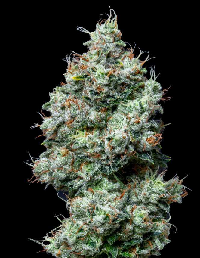 Buy 3 Eighths Get 4th One FREE