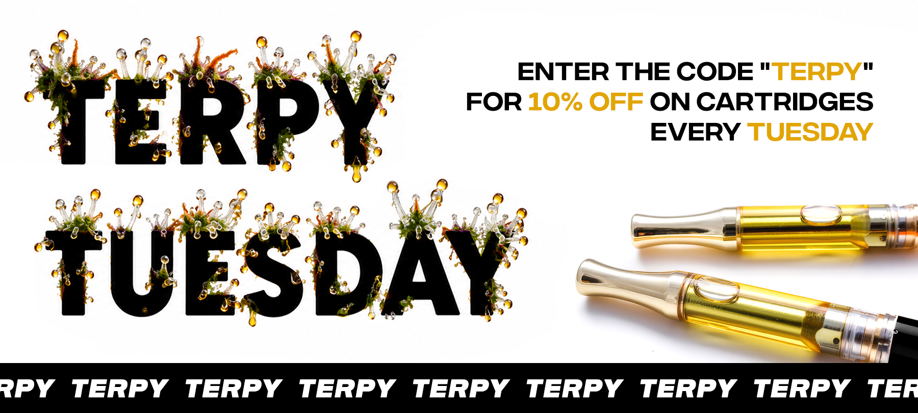 Terpy Tuesday