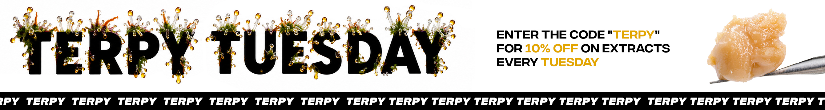 Terpy Tuesday