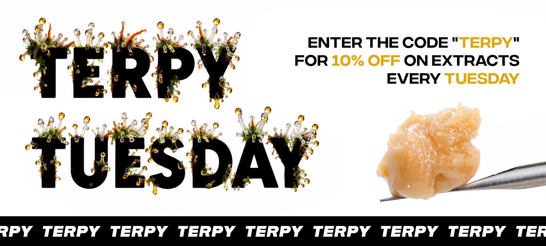Terpy Tuesday