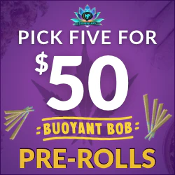 Buoyant Bob Prerolls Buy 5 for $50