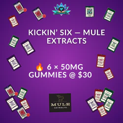 🔥 6 × 50MG Gummies — $35