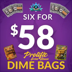 Prolific Dime Bags 6 for $58