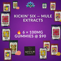 🔥 6 × 100MG Gummies — $90