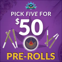 5 Northlake 1g PreRolls for $50 — mix & match while supplies last.