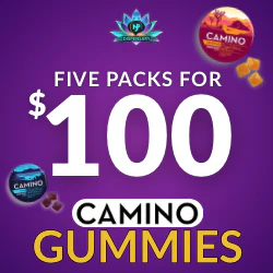 Camino Gummies — Mix & Match 5 for $100