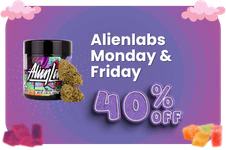 Alienlabs Monday & Friday