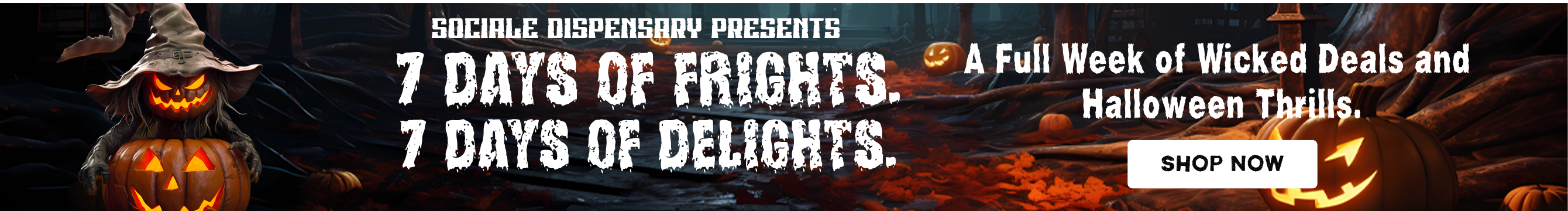 Promotional banner 1