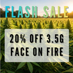 Face on Fire Flash Sale