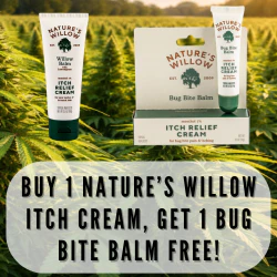 Nature's Willow BOGO