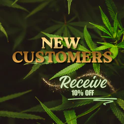 New Customers 10% Off
