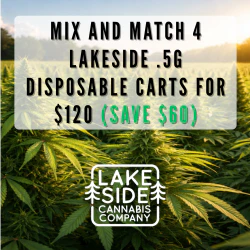 Lakeside Disposable Cart Deal