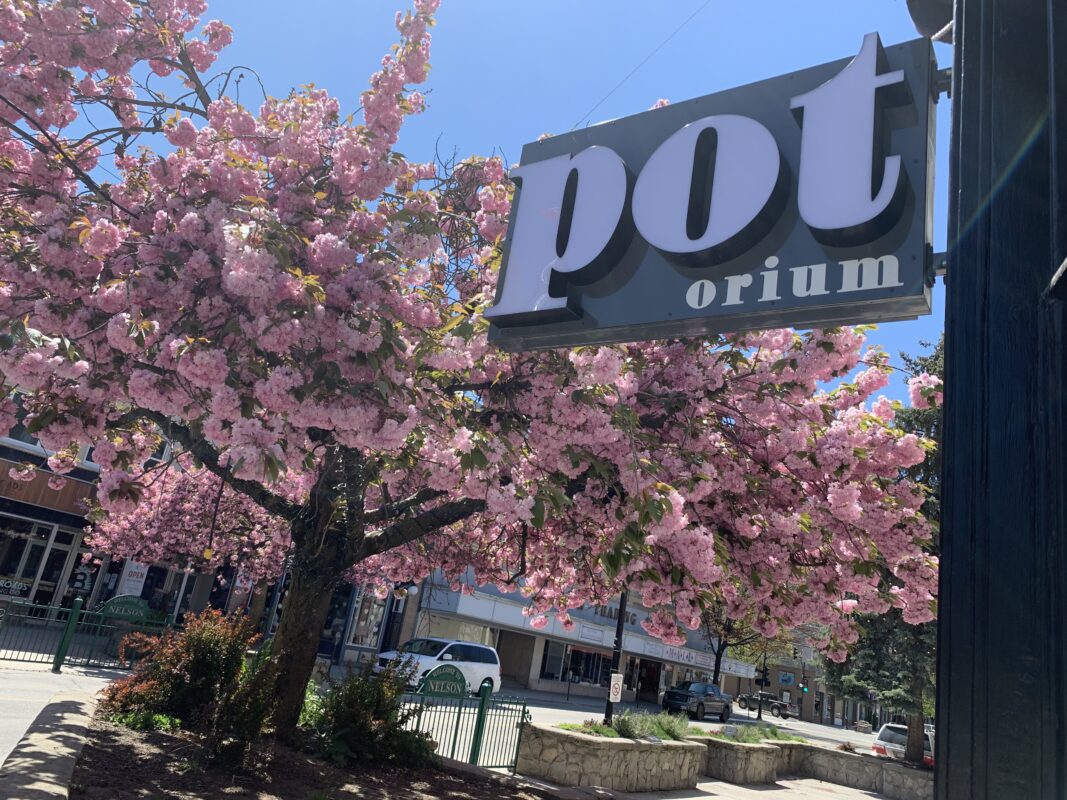 The Potorium logo