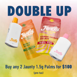 Jaunty Palms | 2 for $100