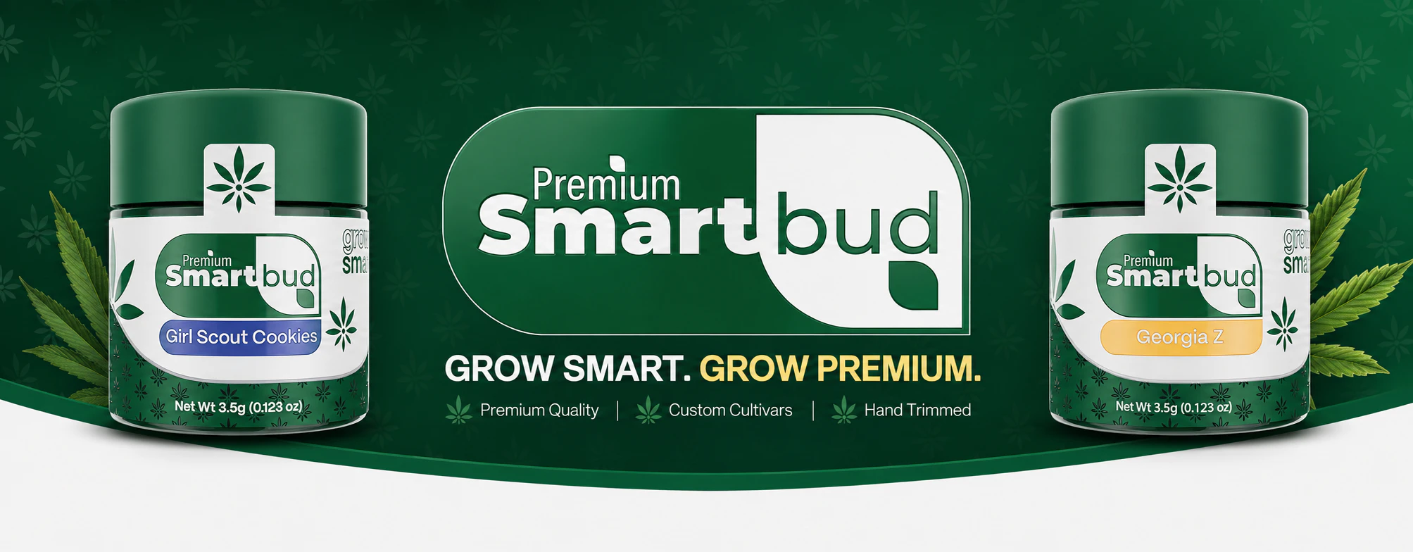 Smart Bud 2 for $60 