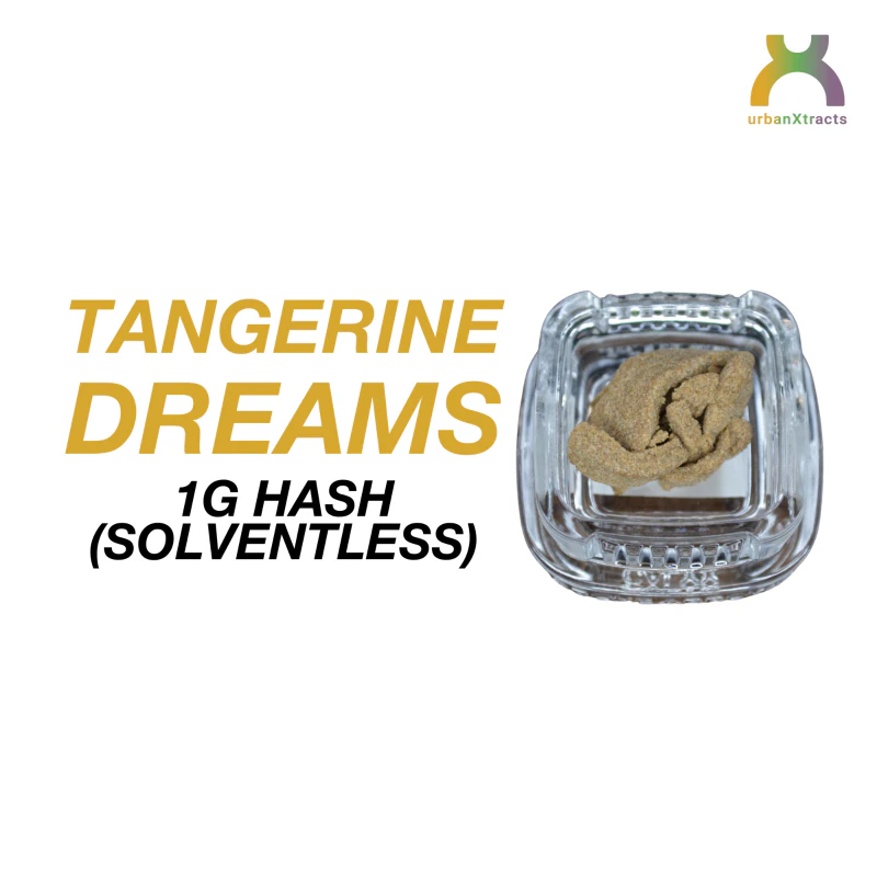 Tangerine Dreams Hash BOGO