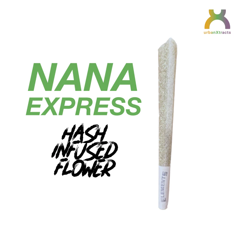 Nana Express Infused PR 1.2g BOGO